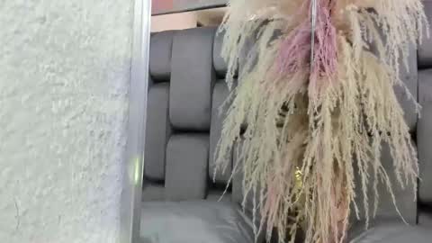 JESSY CORTES online show from April 19, 4:46 am