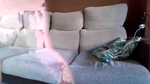 jhonpelopaja2 online show from September 26, 7:49 am