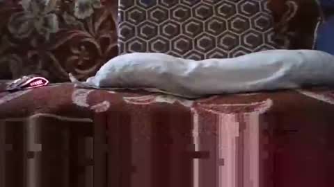 jimmyshelby12 online show from January 25, 6:34 am