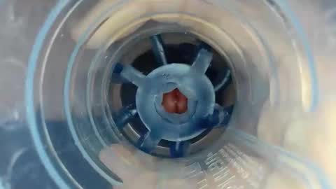 J online show from December 22, 5:42 pm