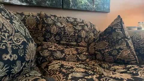 jlk7777 online show from February 24, 6:55 pm