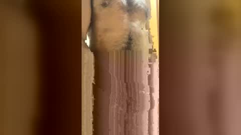 joaolenha online show from February 2, 1:58 am