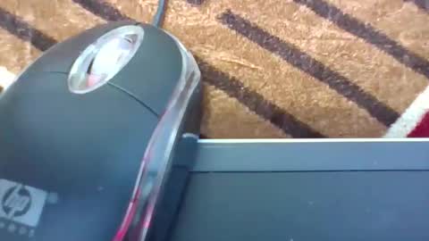 jocyah online show from April 16, 5:18 am