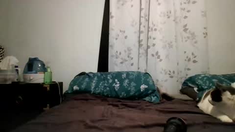 joe0853 online show from February 20, 11:07 pm