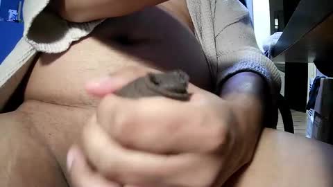 Harry online show from November 23, 3:26 am