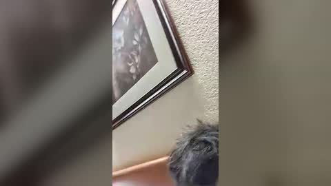 joselin2313 online show from July 28, 3:04 am