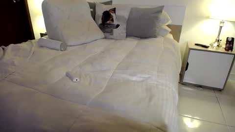 josezaens_ online show from January 10, 9:37 am