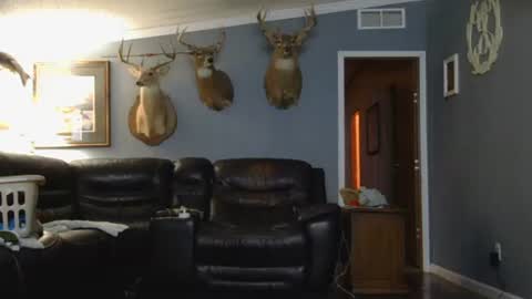 Josh online show from March 26, 2:28 am