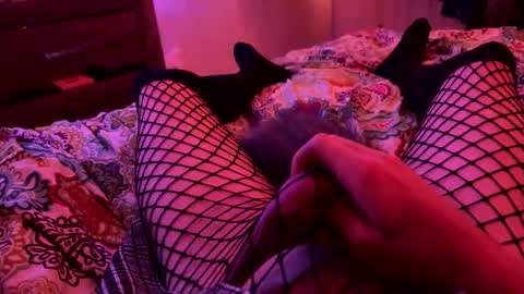 jrod11229 online show from October 27, 2:33 am