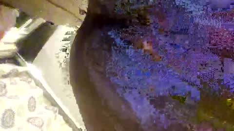 juicebown online show from March 10, 1:45 am