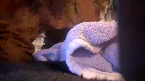 Juish5521 online show from March 6, 10:09 am