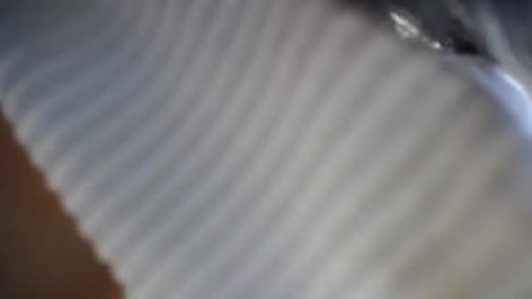 Snapshot of julietqueen_ chatting on September 20, 1:03 pm julieth online show from September 20, 1:03 pm