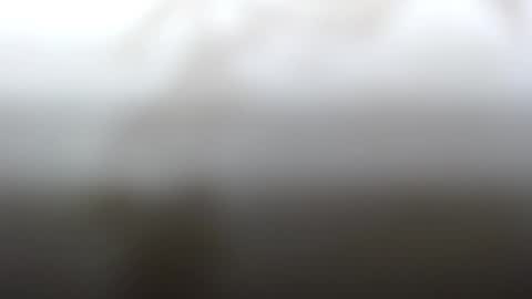 Snapshot of junk_yard_dog chatting on February 4, 2:21 pm Dave online show from February 4, 2:21 pm