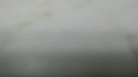 Dave online show from November 25, 3:44 pm