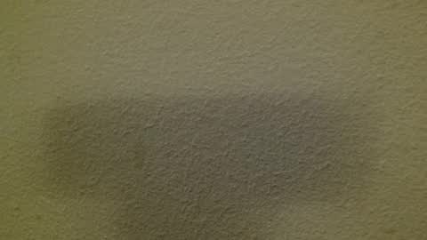 Just marlon online show from March 8, 3:17 am