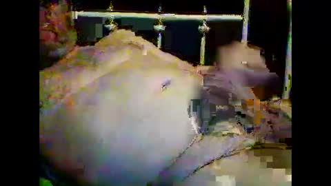 justpervfun online show from January 15, 12:41 am