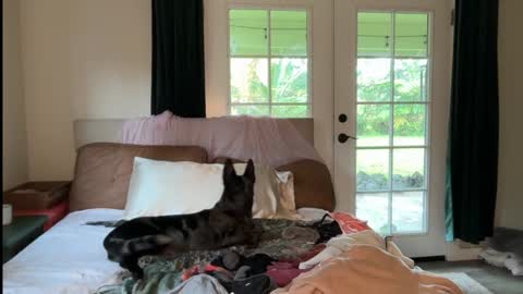 Kailee Smile online show from February 21, 2:36 am