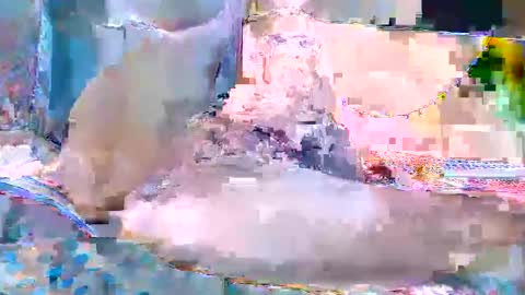 kaimysex online show from January 9, 9:20 pm