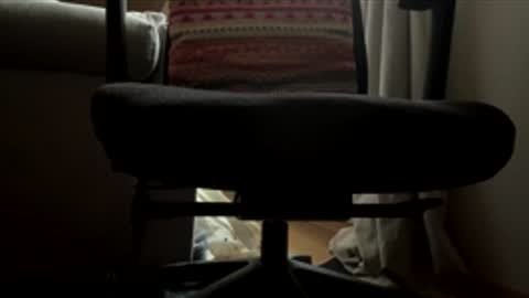 kamjane online show from November 30, 1:51 pm