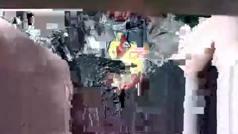 Karlos Montoya online show from February 1, 9:39 am