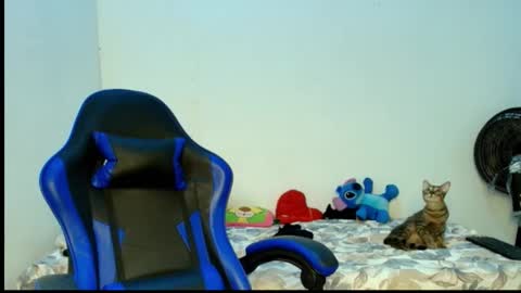    online show from September 10, 9:43 am