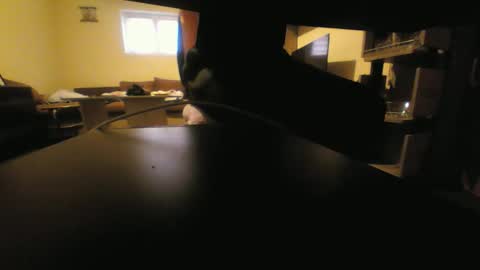 Stojko online show from October 5, 12:46 pm