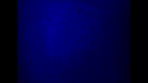 kathy online show from March 5, 10:21 pm