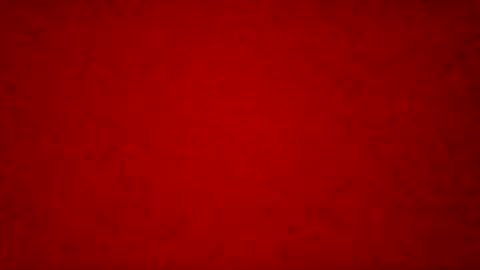 katie_foxi online show from November 22, 5:11 pm