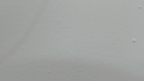 katy blonde girl and paola big boobs online show from February 14, 7:44 pm