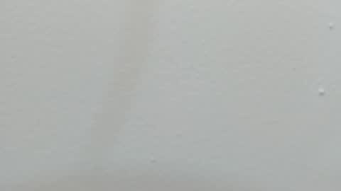 katy blonde girl and paola big boobs online show from February 26, 7:32 pm