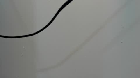 katy blonde girl and paola big boobs online show from March 3, 8:00 pm