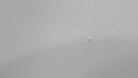 katy blonde girl and paola big boobs online show from February 12, 1:52 am