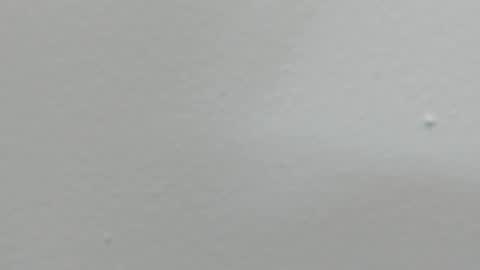 katy blonde girl and paola big boobs online show from February 18, 8:03 pm