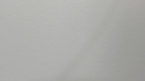 katy blonde girl and paola big boobs online show from February 13, 7:21 pm