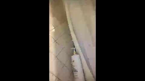 kdk1222 online show from November 4, 1:45 pm