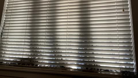 Snapshot of keepquietj chatting on February 7, 9:48 pm keepquietj online show from February 7, 9:48 pm