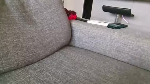 Sky-pure-Japanese online show from April 3, 10:00 am