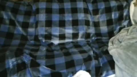 keiser1771 online show from November 20, 9:52 am