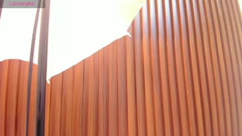    online show from April 9, 12:11 pm