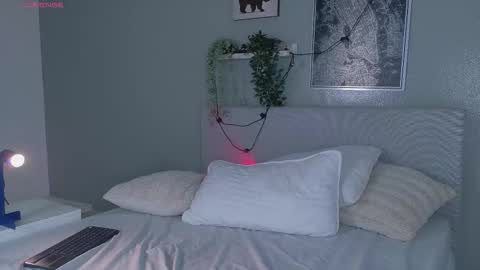   online show from February 13, 6:33 pm