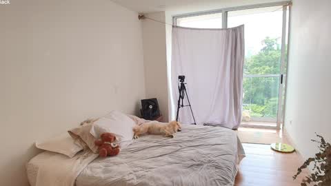 kendall online show from March 10, 4:00 pm