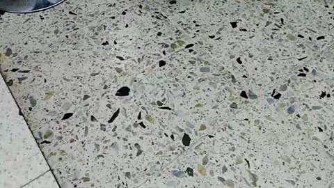 Kendra London online show from April 10, 11:59 am