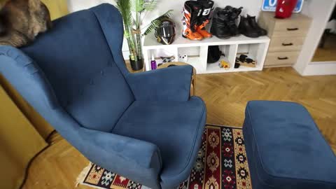 Kev online show from November 26, 11:51 am