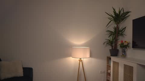 Kevin online show from January 3, 11:46 am