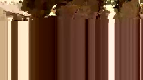 khaldimorocco online show from December 29, 10:03 pm