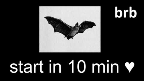 meow online show from July 17, 1:13 pm
