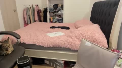 kittywantslove23 online show from November 25, 3:05 am