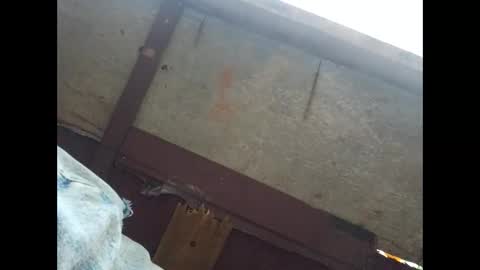 kngboss6969 online show from September 28, 10:46 am