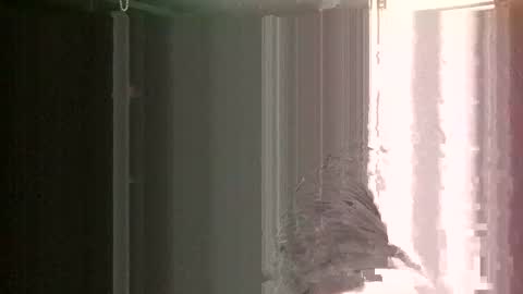 knock2wice1975 online show from January 26, 12:33 pm