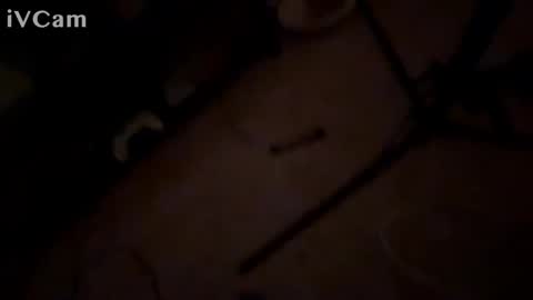 420stoney69 online show from December 15, 8:21 am